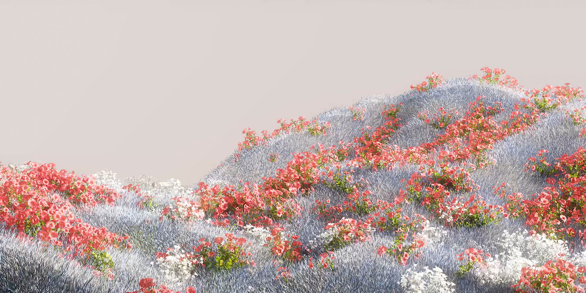Blooming